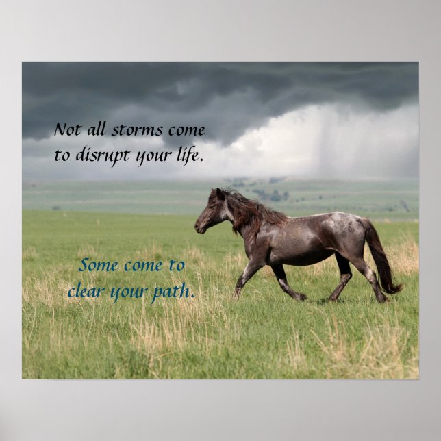 Motivational Vild Mustang Horse Poster (Framsidan)