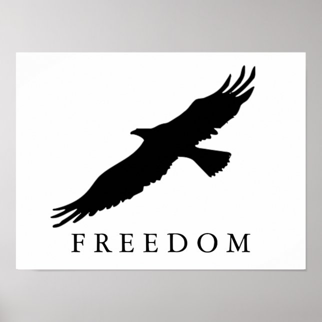 Motiverad Freedom Eagle Landing Black White Art Poster (Framsidan)
