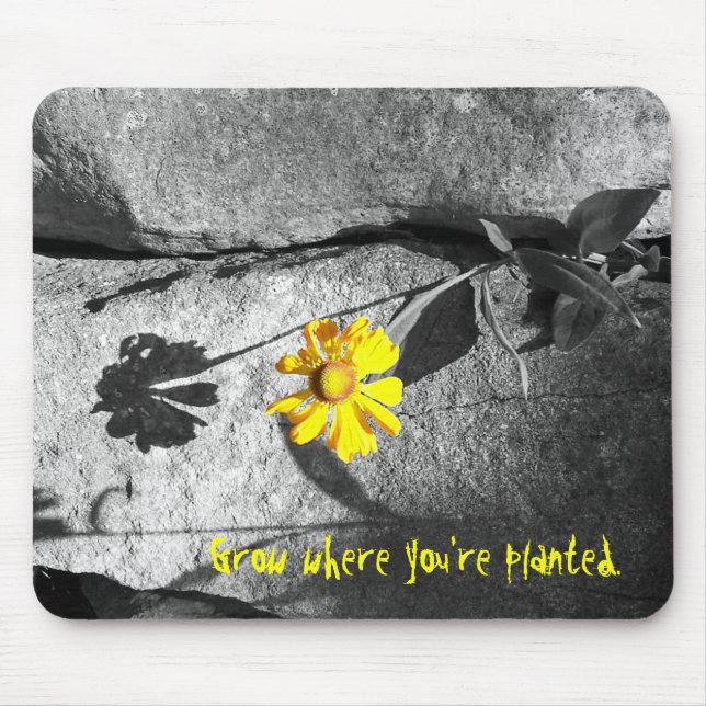 Motiverande "Grow where you're plant" Mousepad Musmatta (Framsidan)