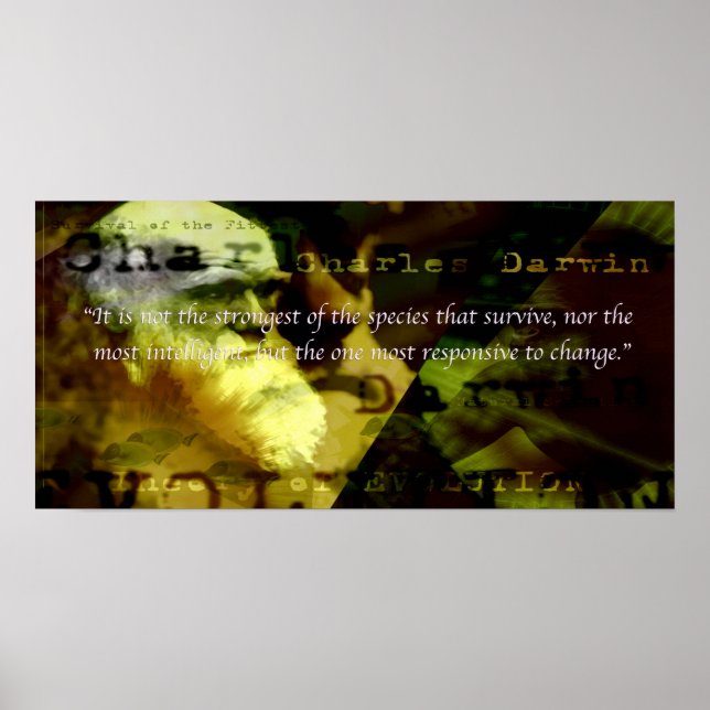 Motiverande Poster (Framsidan)