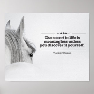 Motiverande Poster "Hemligheten till livet.."