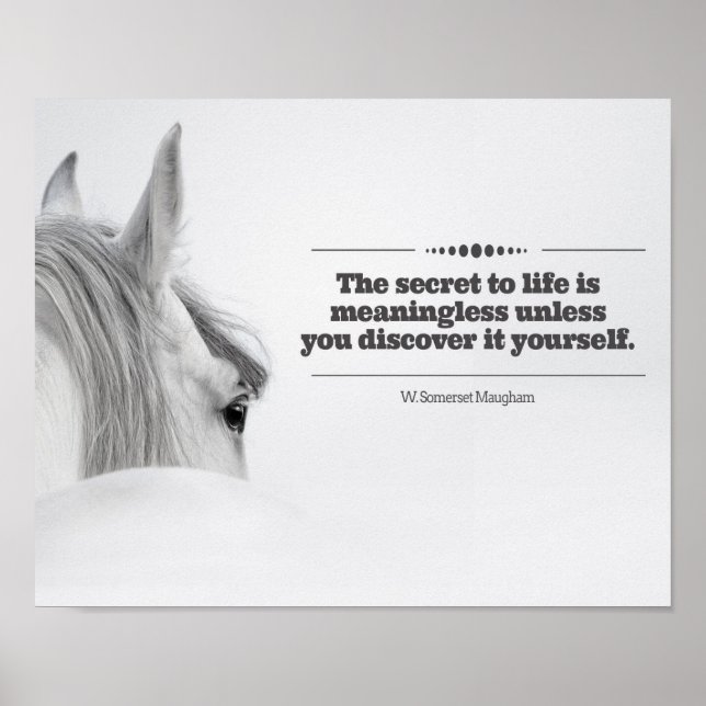 Motiverande Poster "Hemligheten till livet.." (Framsidan)