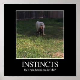 Motiverande Poster, INSTINCTS Poster