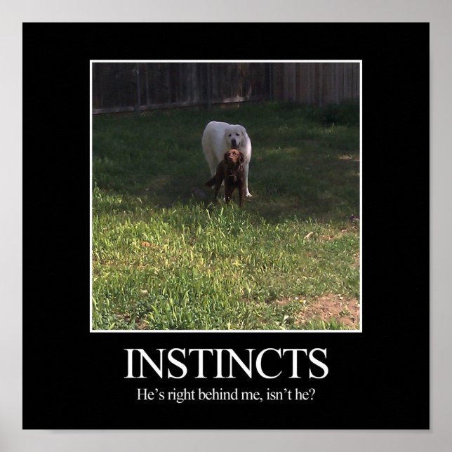 Motiverande Poster, INSTINCTS Poster (Framsidan)