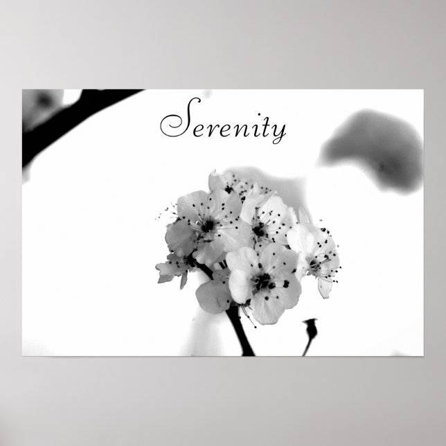 Motiverande Poster-Serenity Poster (Framsidan)
