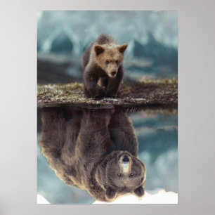 Motivering av grizzly Bear Mindset - lyckades Poster