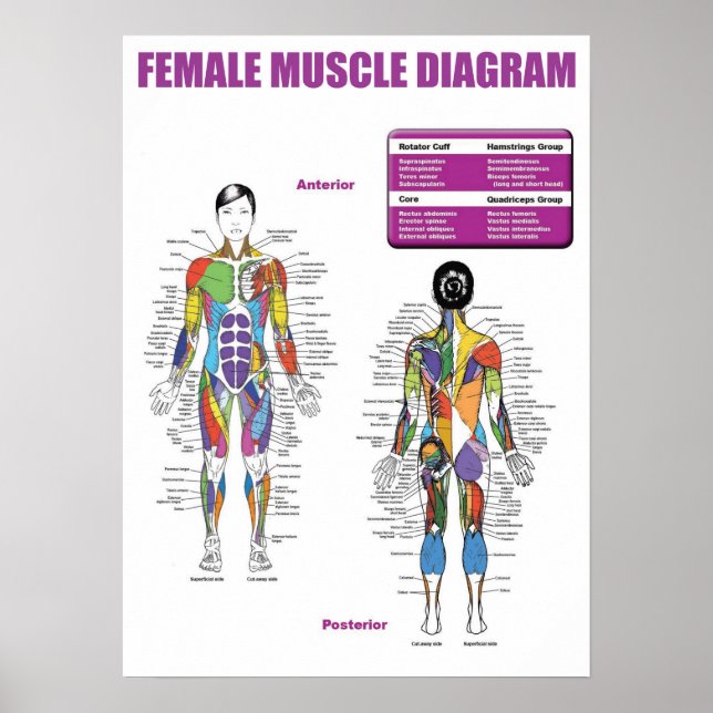 Motivering för workout poster (Framsidan)