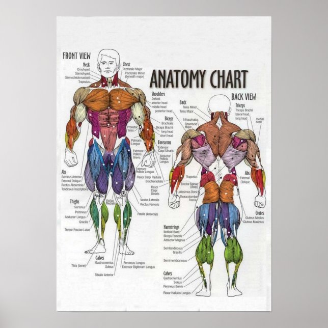 Motivering för workout poster (Framsidan)