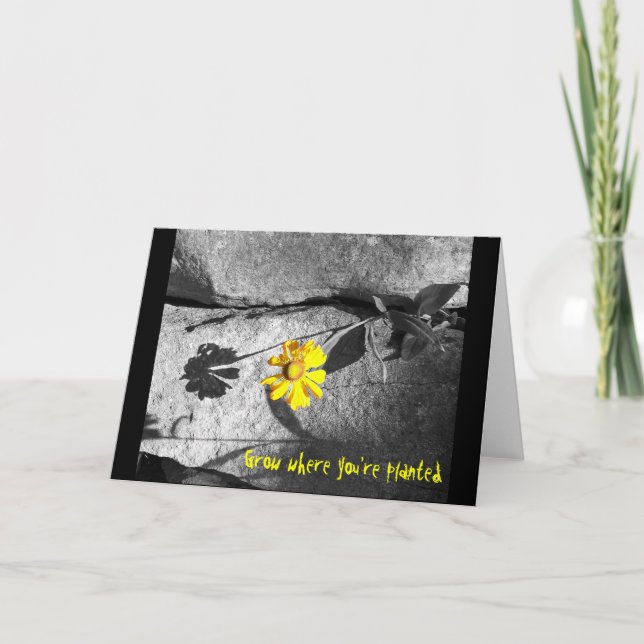 Motiveringellt kort för tillväxt där du är planter (Framsida)