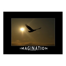 Motiveringsfoto för Eagle & Sol IMAGINATION