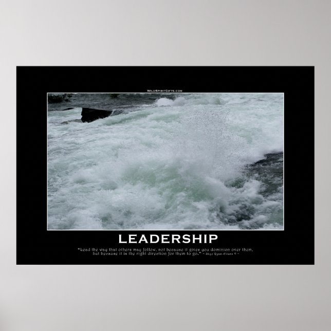 Motiveringsfoto för LEADERSHIP River Rapids Poster (Framsidan)