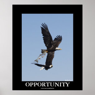 Motiveringsfoto för Örn för affärsmöjlighet Poster