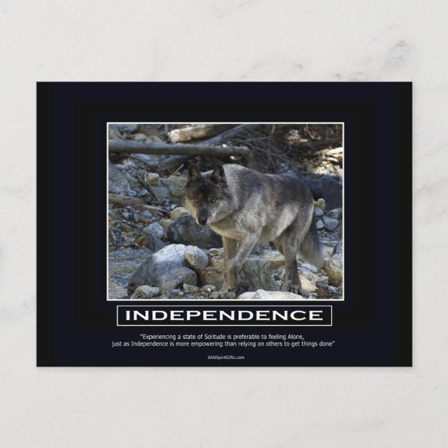 Motiveringsgåvor för grått Varg Vykort (Framsida)