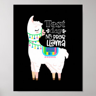 Motiveringslandets testdag för lärare utan examen poster