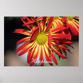 Motiveringslycka Poster