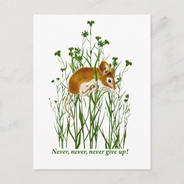 Motiveringsoffert för Cute Mouse Ge upp aldrig Vykort (Framsida)