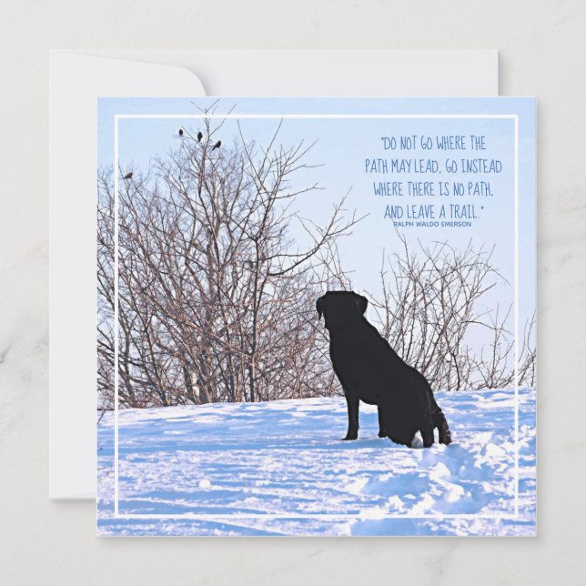 Motiveringsoffert - inspirerande livsoffert (Framsida)