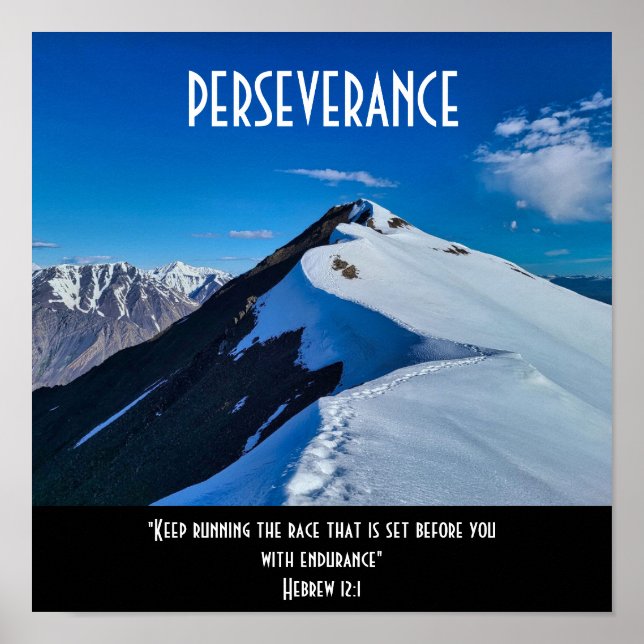 Motiveringsskript för Perseverance Poster (Framsidan)