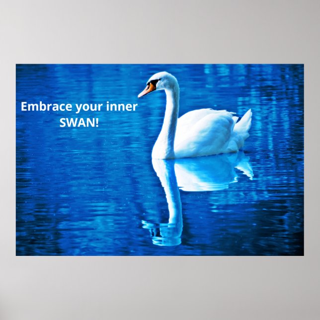 Motiveringstanke Svan reflektion blått och vitt Poster (Framsidan)