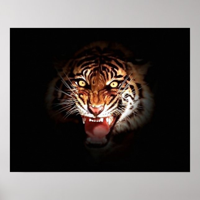 Motiveringstid i skuggutskrift Poster tiger (Framsidan)