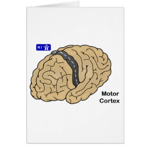 Motor Cortex Hälsningskort