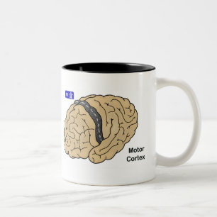 Motor Cortex Två-Tonad Mugg