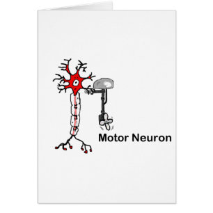 Motor Neuron Hälsningskort