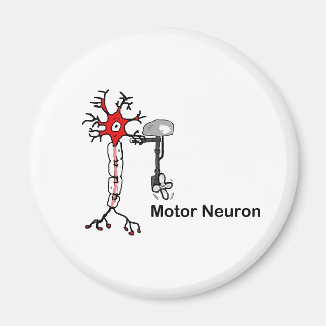 Motor Neuron Magnet (Framsidan)