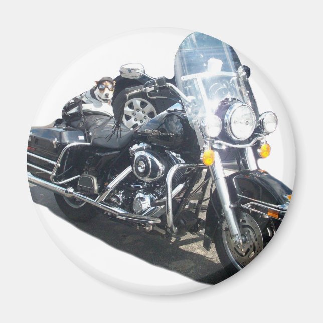 Motorcycle Hog Hund född till Ride Russell Terrier Magnet (Framsidan)