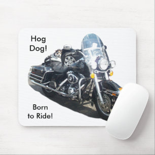 Motorcycle Hog Hund född till Ride Russell Terrier Musmatta