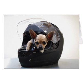 Motorcykel Chi Hälsningskort