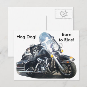 Motorcykel Hund Hög Hund Född Att Rida Russell Ter Vykort