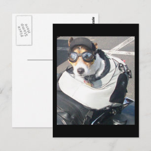 Motorcykel Jack Russell Terrier Född att Köra Vykort