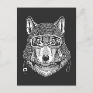 Motorcykelförare i varg Hund Vykort