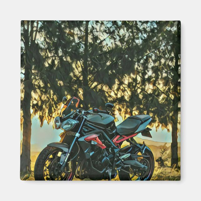 Motorcykelpresent Magnet (Framsidan)