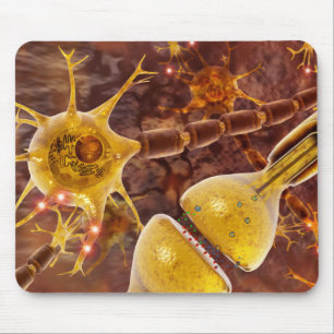 Motoriska Neurons Musmatta