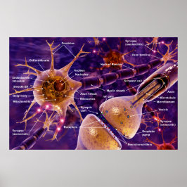 Motorneuroner Poster