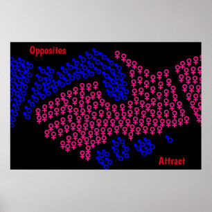 Motsatta Affischer Lockar Poster