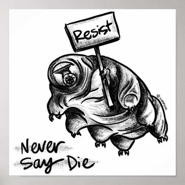 Motståndskraft Tardigrade Poster (Framsidan)