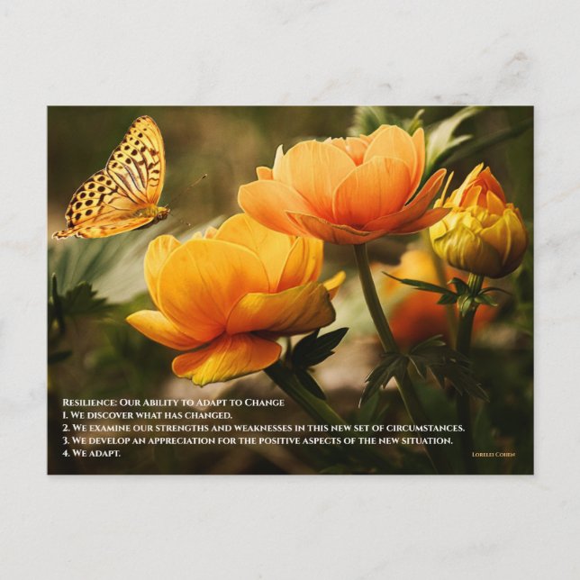 Motståndskraft: Vår förmåga att anpassa oss till f Vykort (Framsida)