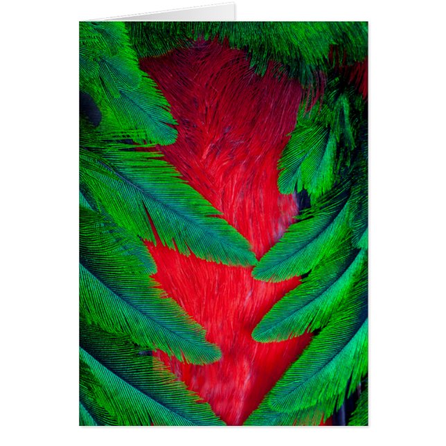 Motsvarande Quetzal-ludderdesign Hälsningskort (Framsidan)