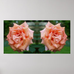 Mottad persika Ro i Abstrakten Bloom Spegel Poster