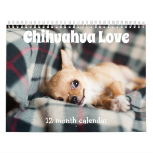 Mottagande Chihuahua Hundar 2024 Kalender