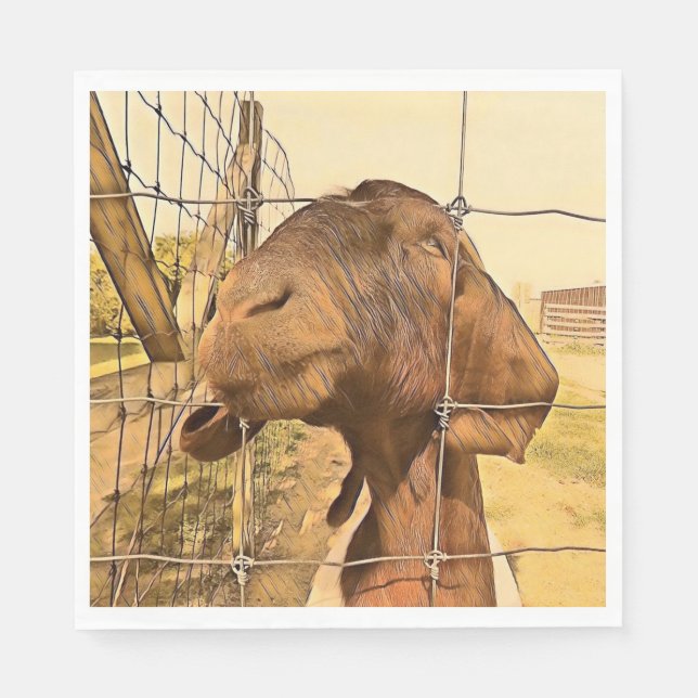 Mottagande get - Pappersservett (Framsidan)