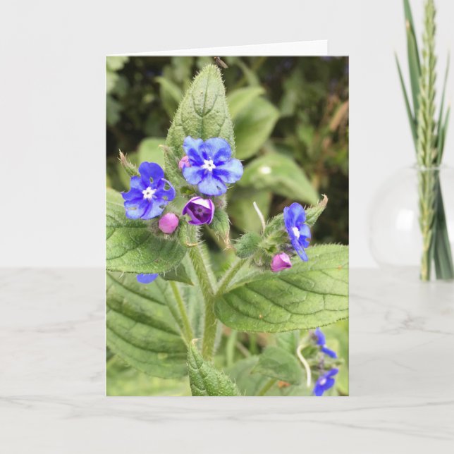 Mottagningskort, anteckningskort, blommigt, online kort (Framsida)