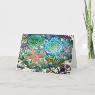 Mottagningskort för återgivningar i Tidepool Kort