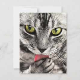 Mottagningskort för inbjudningar till mallar