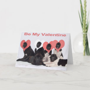 Mottagningskort för Newfoundland hund valentines d Helgkort