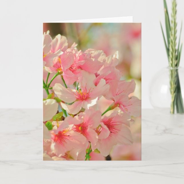 Mottagningskort, tomt inuti kort (Framsida)