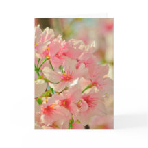 Mottagningskort, tomt inuti